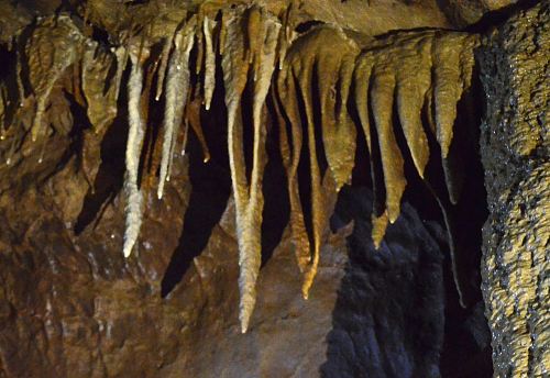 Crag Cave, Castleisland, Co. Kerry, Ireland